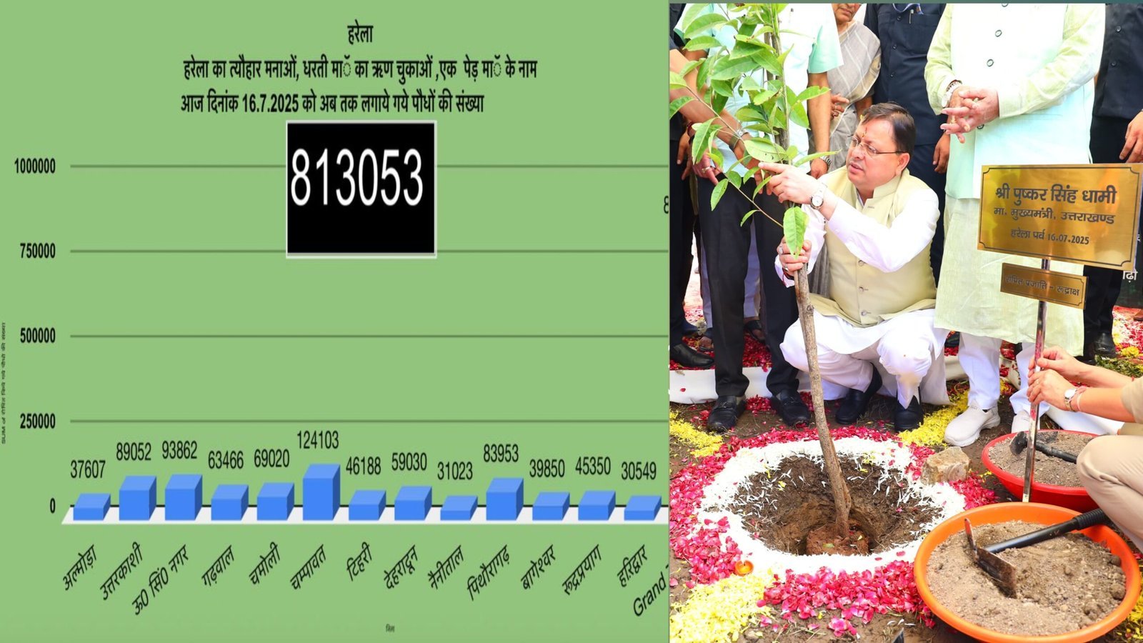 उत्तराखंड में हरेला पर्व बना हरित क्रांति का उत्सव, 8 लाख 13 हज़ार से अधिक पौधे रोपे गए