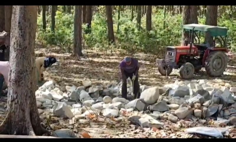 राजाजी नेशनल पार्क की करोड़ों की सुरक्षा दीवार पर उठे सवाल, जंगली जानवर अब भी पहुंचा रहे नुकसान…..