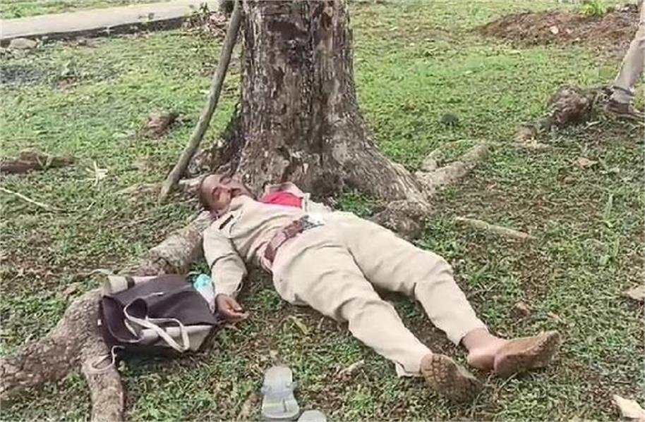 वन माफिया ने बिछा रखा था तारों का जाल, अतिक्रमण हटाने के दौरान करंट की चपेट में आया वनकर्मी…