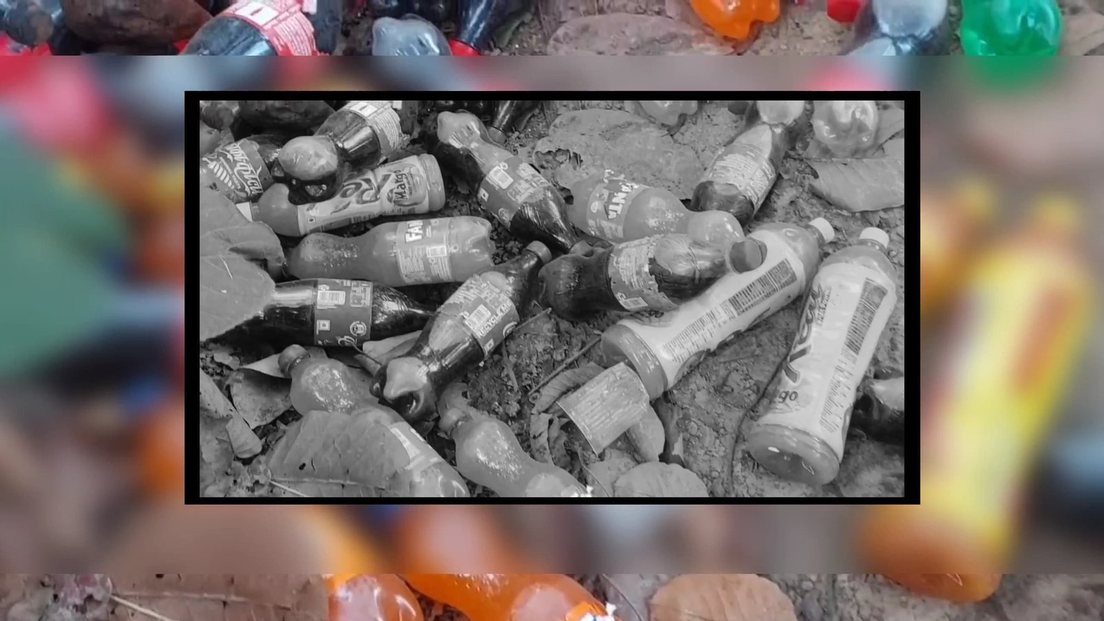 सोशल स्कैन विशेष खुलासा: टीमली रेंज जंगल में कचरे का अंबार, वन्यजीवों की जान पर संकट!