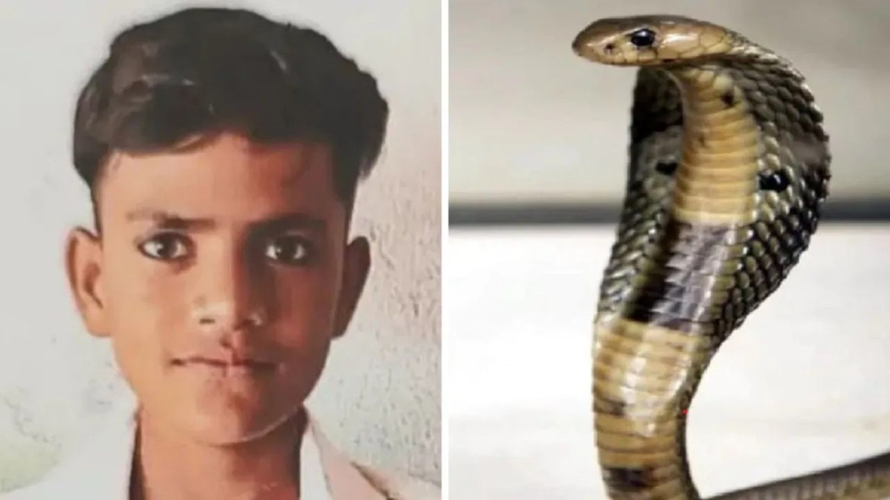 पलंग पर सो रहे किशोर की पैंट में घुस गया जहरीला सांप, प्राइवेट पार्ट पर काटा, फिर…