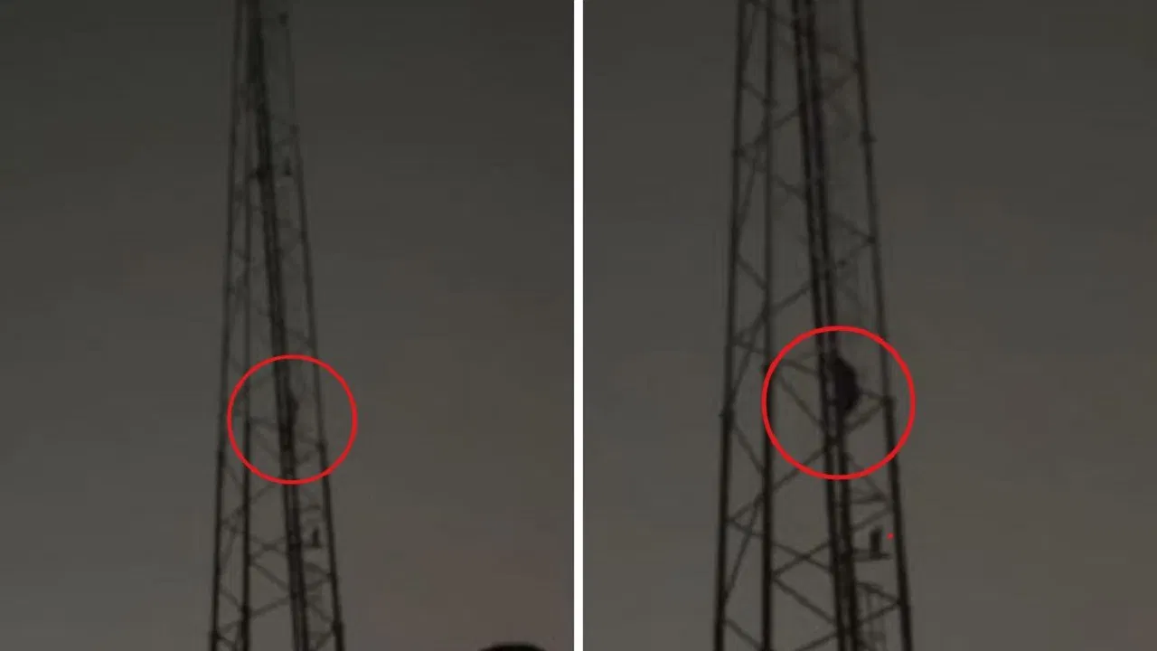 Youtube पर बढ़ाने थे सब्सक्राइबर, 100 फीट ऊंचे टॉवर पर चढ़ गया युवक, 5 घंटे बाद…